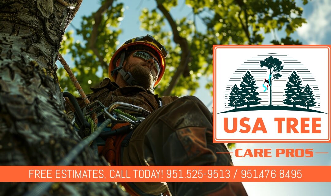 Riverside Tree Service